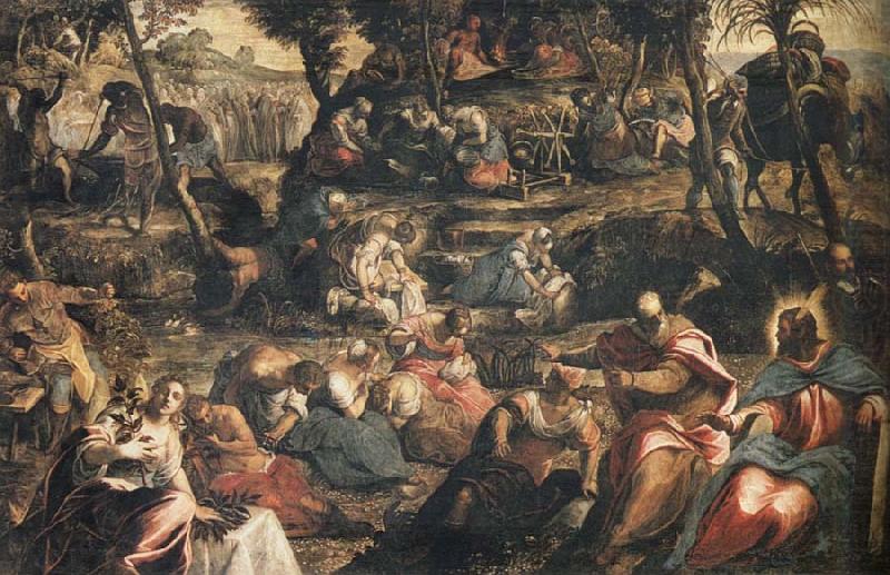 Jacopo Tintoretto Gathering of Manna china oil painting image